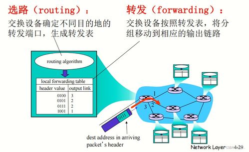 計算機(jī)網(wǎng)絡(luò)與因特網(wǎng)